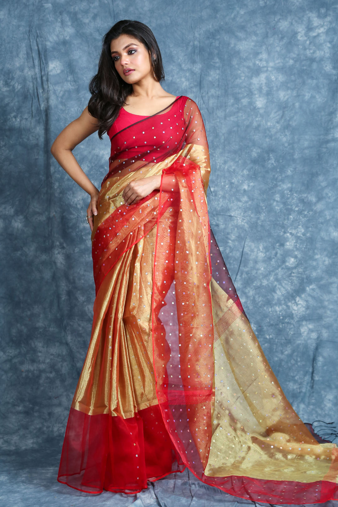 Women's  Handwoven Saree With Allover Sequins - Charukriti