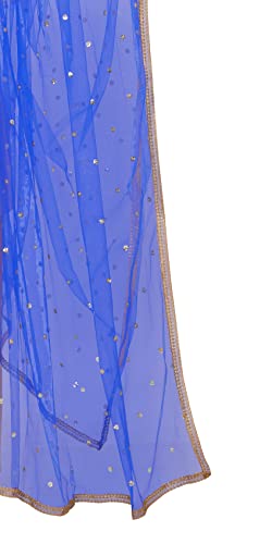 Women's Net Embroidered Full Size Dupatta - Shringaar