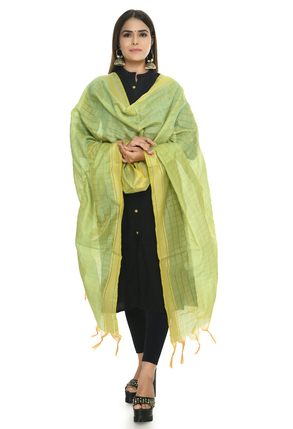 Women's Handloom Cotton Dupatta - Moeza