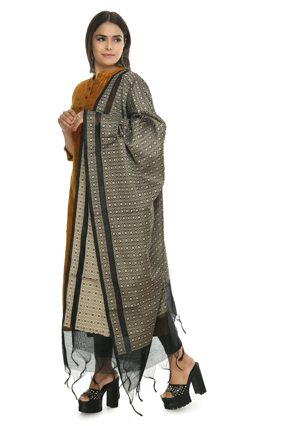 Women's Handloom Cotton Dupatta - Moeza