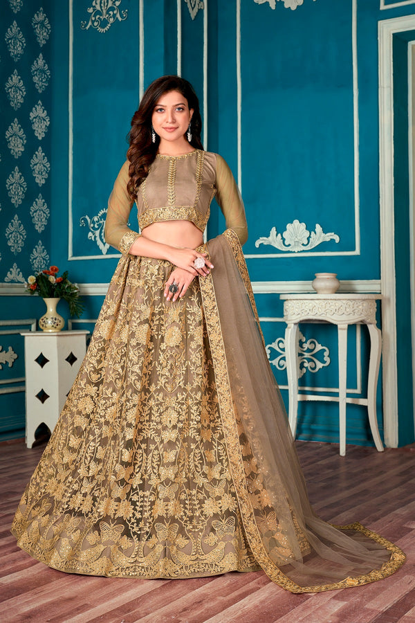 Women's Beige Net Embroidered Lehenga Choli Set - Dwija Fashion