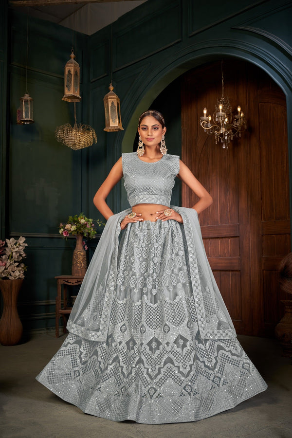 Women's Grey Net Embroidered Lehenga Choli Set - Dwija Fashion