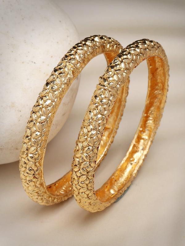 Women's Set Of 2 Gold-Plated Handcrafted Traditional Bangles - Nvr