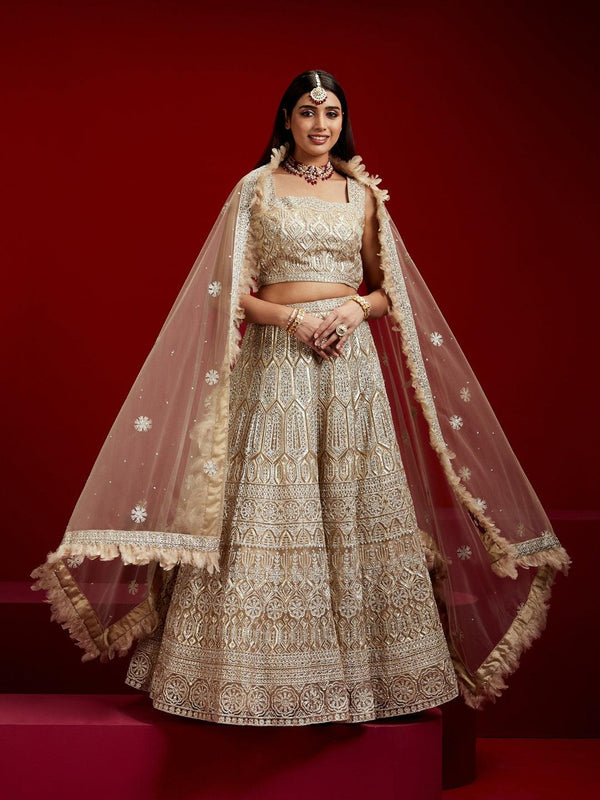 Jashvi Art Beige Embellished Net Lehenga Set - Jashvi