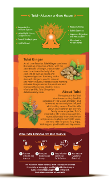 Tulsi Ginger 25 Infusion Bag - Organic India