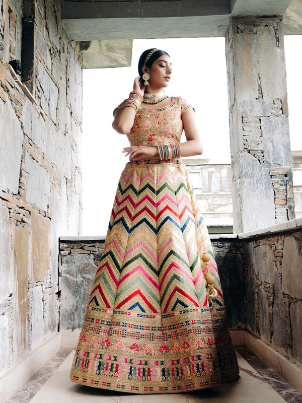 Dreamlike Multicolour Lehenga In Velvet With Beautified With Resham Work In Chevron