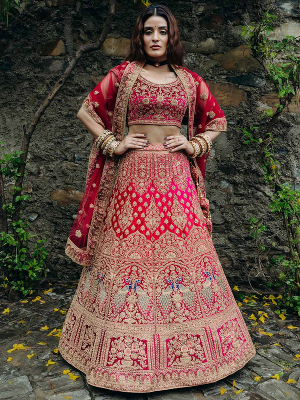 Extra Ordinary Red Lehenga Paired With Exclusively Heavy Crimson Blouse