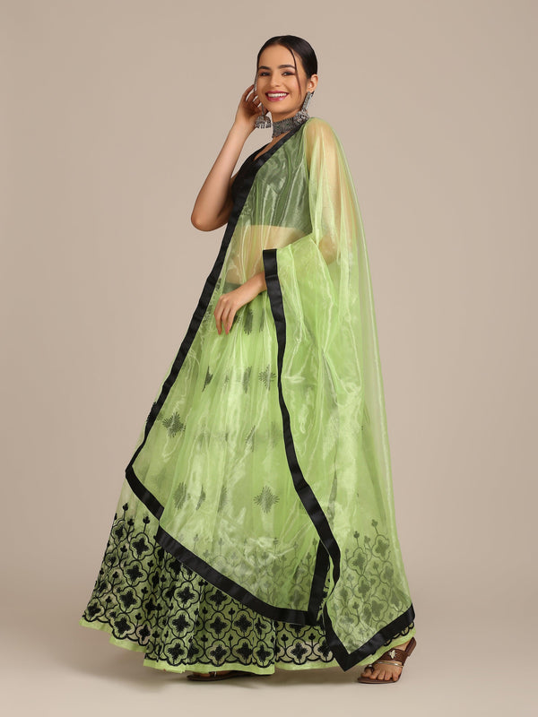 Light Green Heavy Net Lehenga Choli Semi-Stitched - Indiakreations