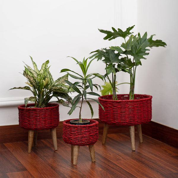 Natural Seagrass Hand Woven Planter (Set Of 3) Red - Default Title - DecorTwist