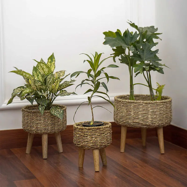 Natural Seagrass Hand Woven Planter (Set of 3) - DecorTwist