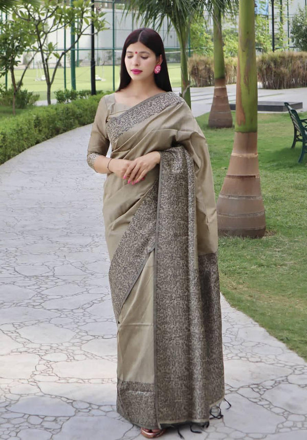 Beige Banglori Handloom Raw Silk Saree - Indiakreations