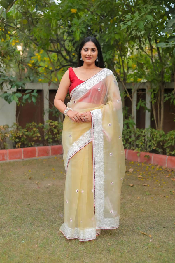 Pale Yellow Organza Embroidery Saree - Indiakreations