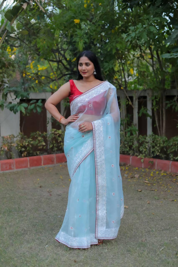 Pale Blue Organza Embroidery Saree - Indiakreations